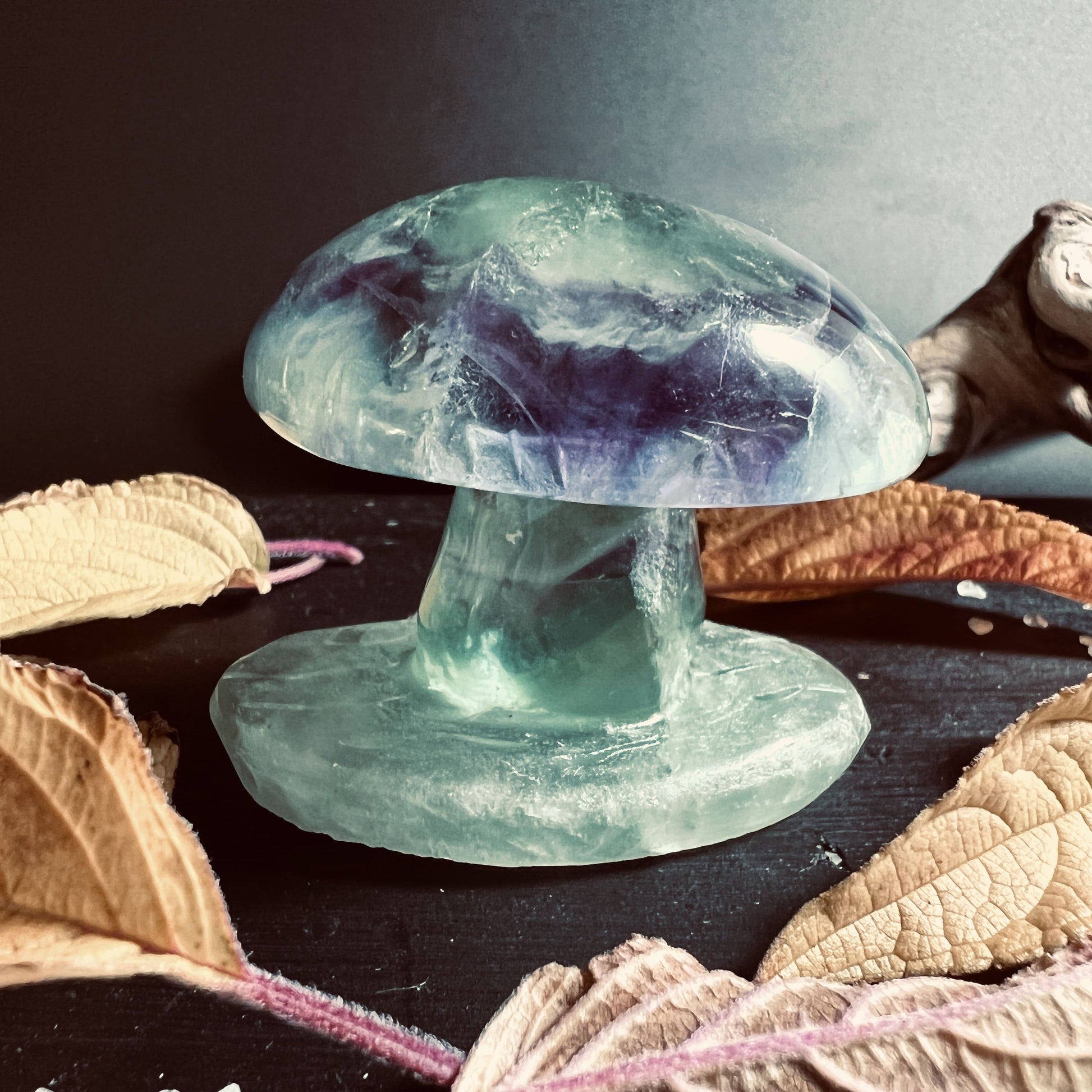 Pilz aus Fluorit Stein seitlich   HappyMinerals
