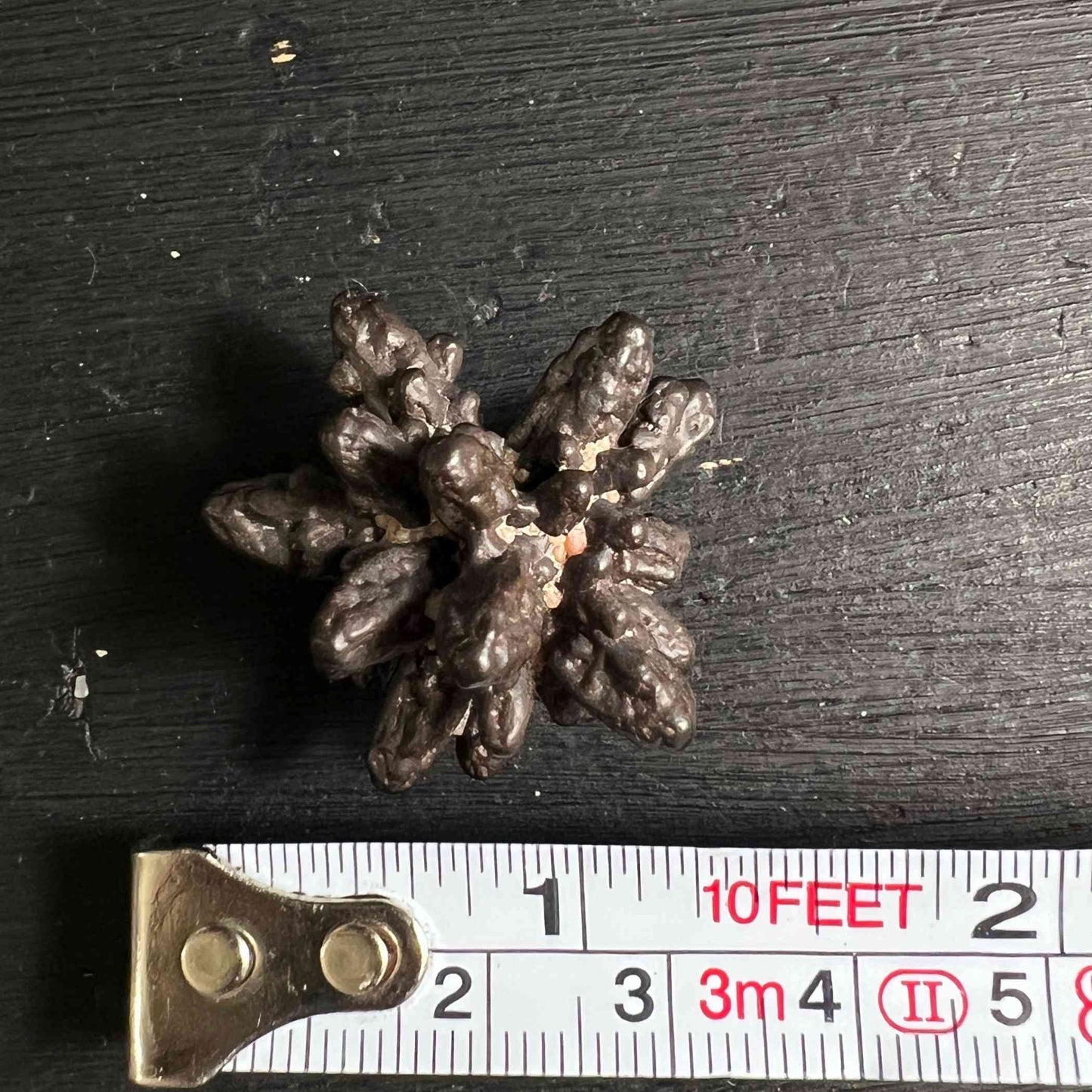 Prophetenstein 30mm | Prophecy Stone | Weiße Wüste Ägypten