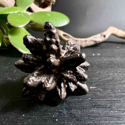 Prophetenstein 30mm | Prophecy Stone | Weiße Wüste Ägypten