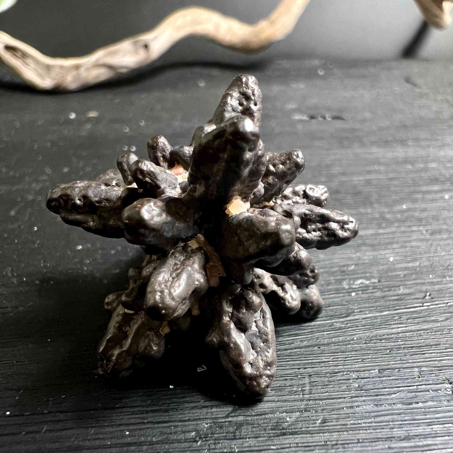 Prophetenstein 30mm | Prophecy Stone | Weiße Wüste Ägypten