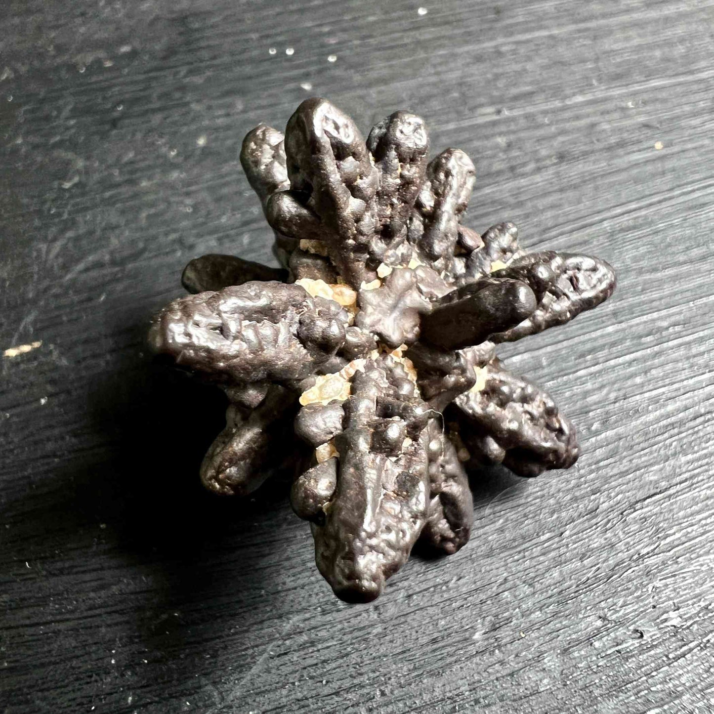 Prophetenstein 30mm | Prophecy Stone | Weiße Wüste Ägypten