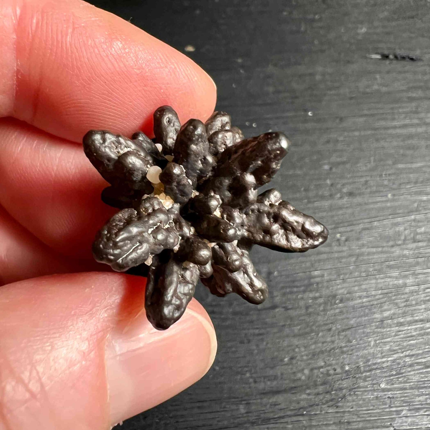 Prophetenstein 30mm | Prophecy Stone | Weiße Wüste Ägypten