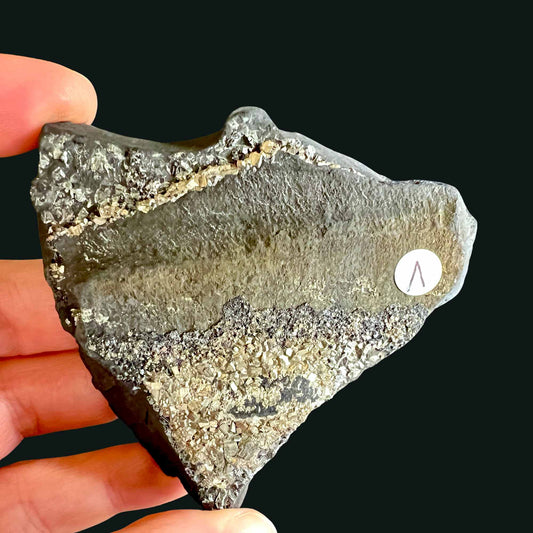 Pyrit auf Schungit Rohstein Variante Nr. 1 | Happy Minerals