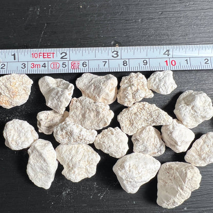 Howlith Rohsteine weiß mit Massstab | 10 bis 25 mm Groessenvergleich | Happy Minerals
