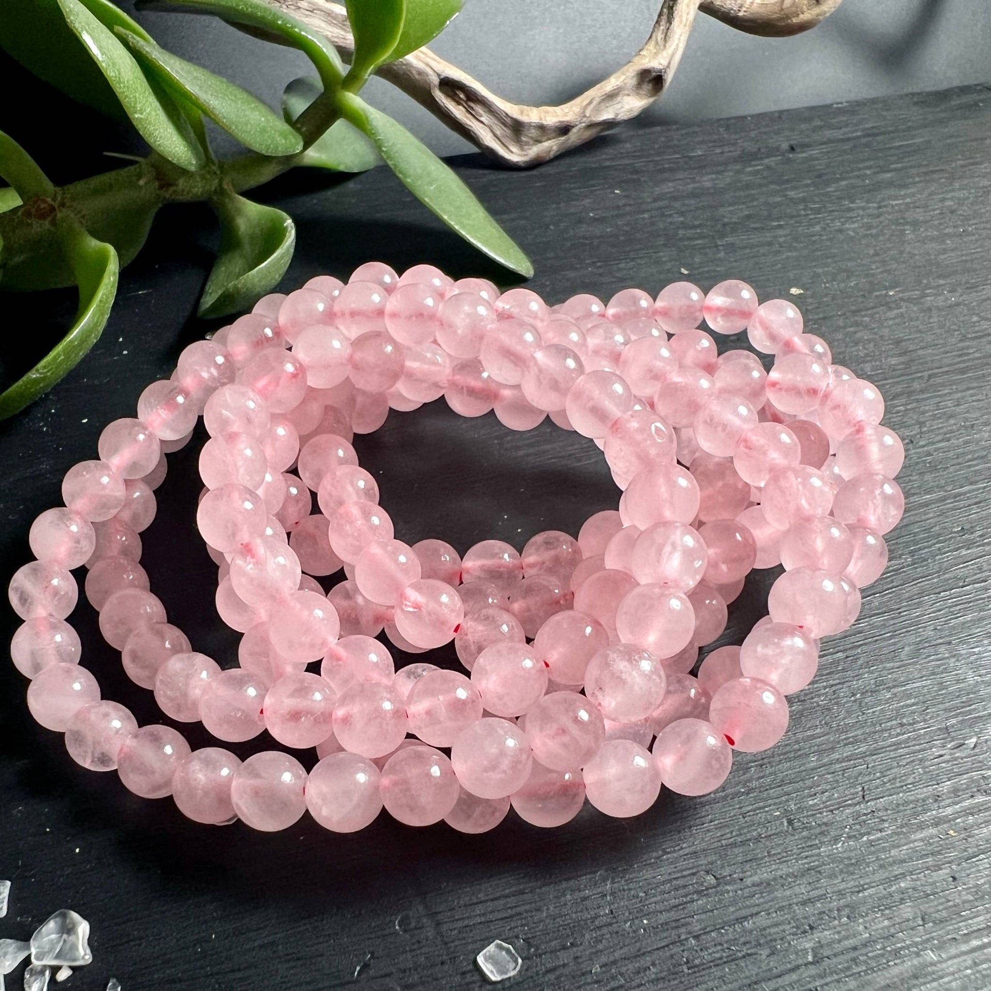 Rosenquarz Armbänder Kollektion 6mm Perlen mit Sukkulente und Treibholz | Happy Minerals