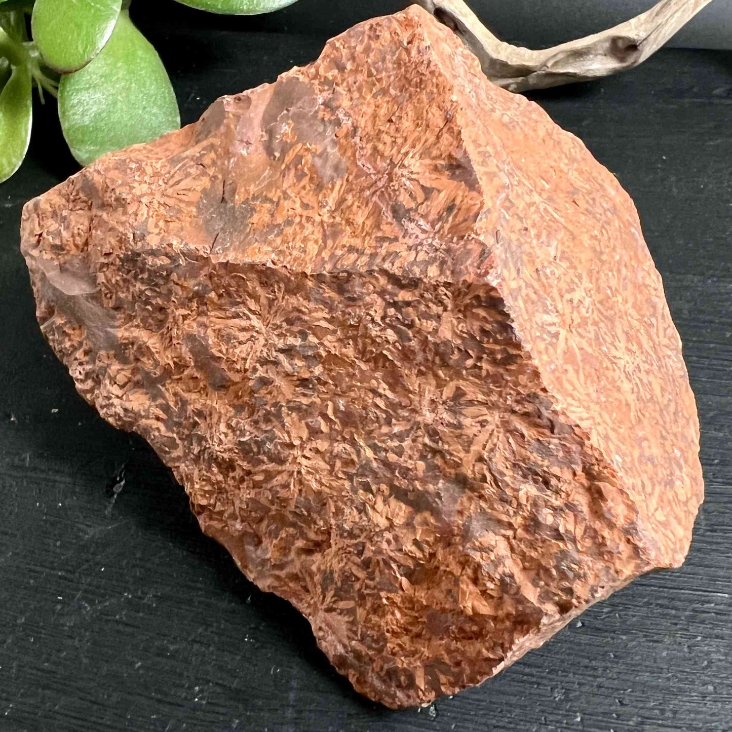 Sternenjaspis Rohstein aus Brasilien