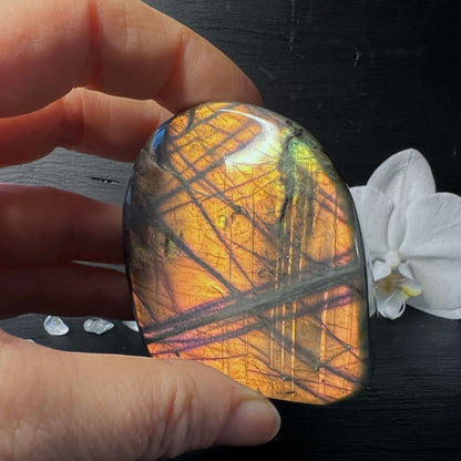 Sunset Labradorit Freeform in der Hand vorne| Happy Minerals