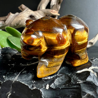 Tigerauge Bär Krafttier Schnitzerei 4 cm mit seidigem Chatoyance-Effekt | Happy MInerals