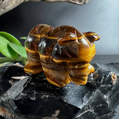 Tigerauge Bär von vorne mit goldbraunen Streifen auf Onyx | Happy Minerals