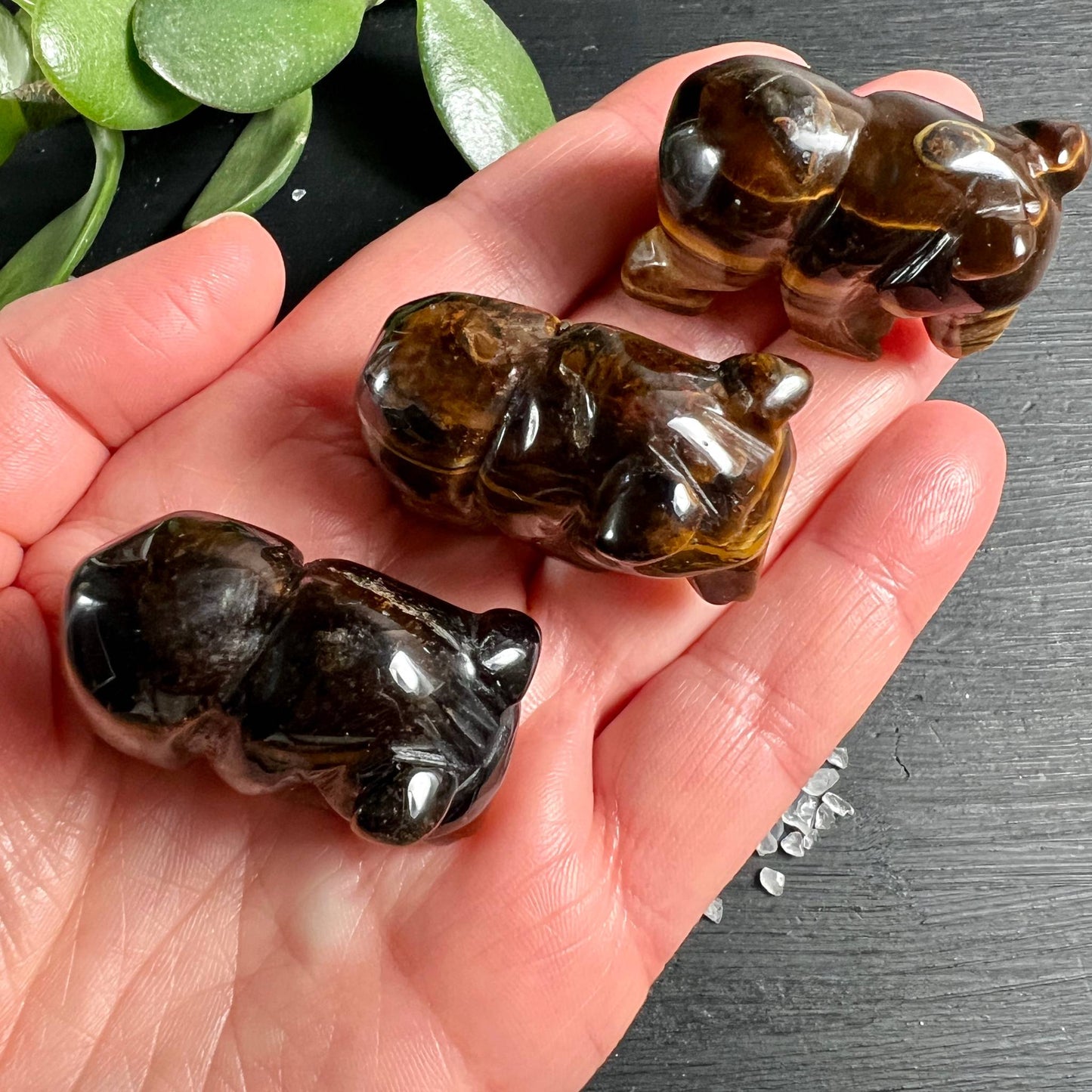 Drei Tigerauge Bären Krafttiere in der Hand zum Größenvergleich