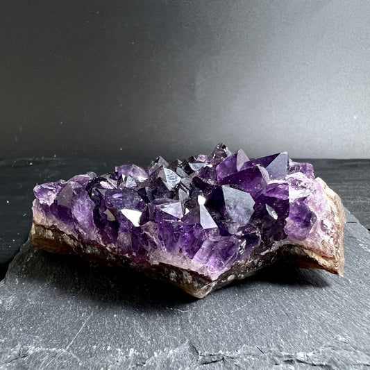 Uruguay Amethyst Druse mit violetten Spitzen und natürlicher Matrix auf Schieferplatte | Happy Minerals