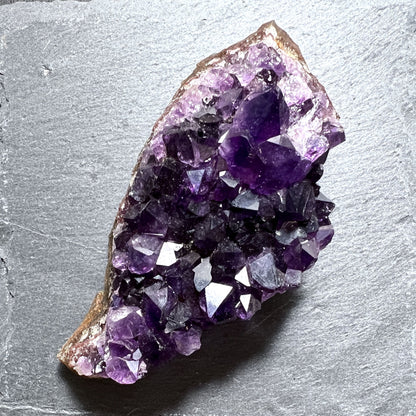 Uruguay Amethyst mit violetten Spitzen und natürlicher Matrix auf Schieferplatte | Happy Minerals