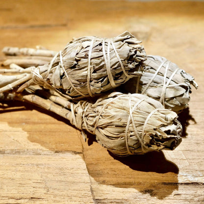Weißer Salbei Bündel 10cm Salvia apiana | Weißer Salbei Räucherstick Smudge | kleines Räucherbündel für Kristall Reinigung