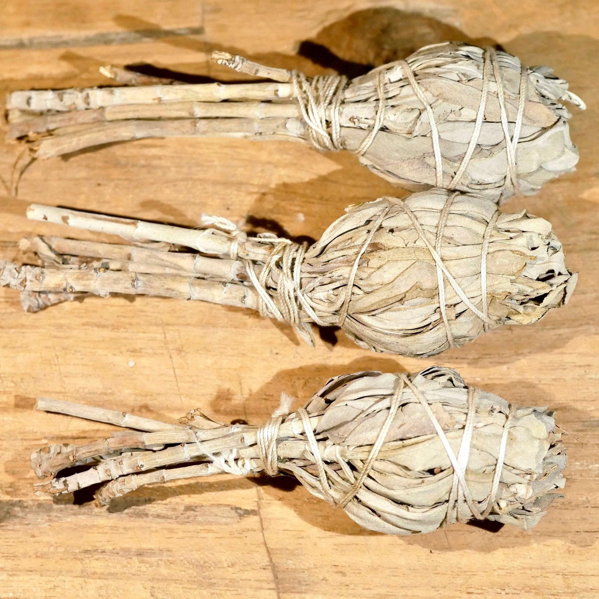 Weißer Salbei Bündel 10cm Salvia apiana | Weißer Salbei Räucherstick Smudge | kleines Räucherbündel für Kristall Reinigung