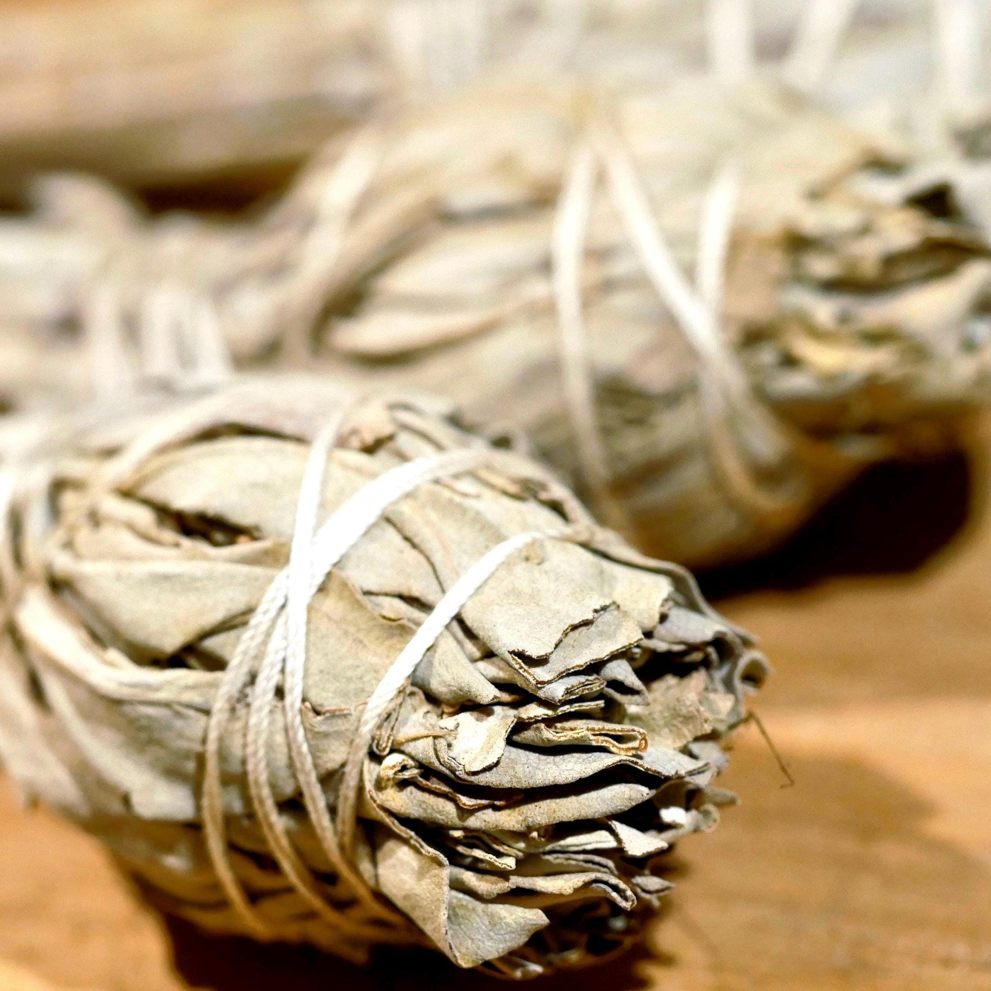 Weißer Salbei Bündel 10cm Salvia apiana | Weißer Salbei Räucherstick Smudge | kleines Räucherbündel für Kristall Reinigung