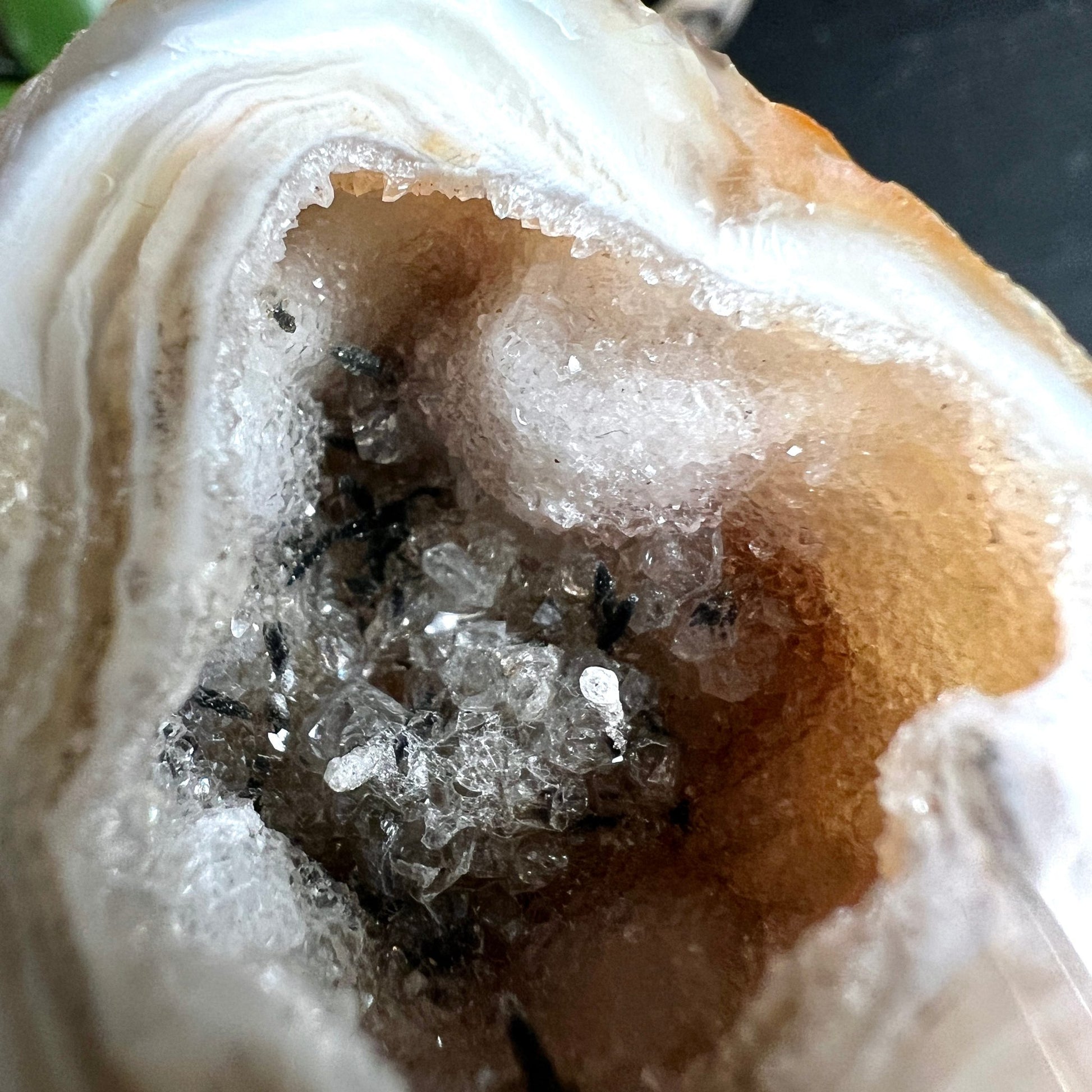 Achat Dose Nahaufnahme | Kristall-Drusen Detail | natürliche Höhle | Brasilien Geoden-Box Happy Minerals