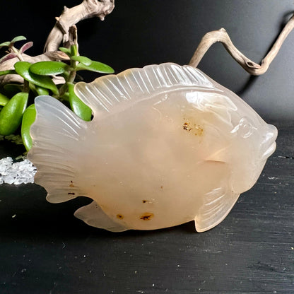 Handgeschnitzter Achat Fisch mit funkelnder Druzy 