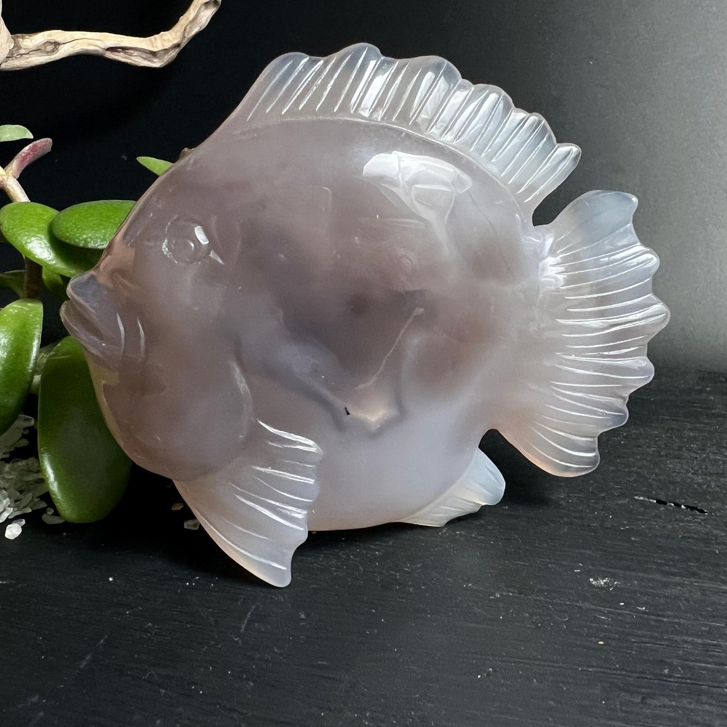 Achat Fisch mit silberner Druzy Geode und schwarzen Einschluessen