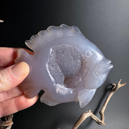 Achat Fisch mit Druzy in der Hand Groessenvergleich 102 mm