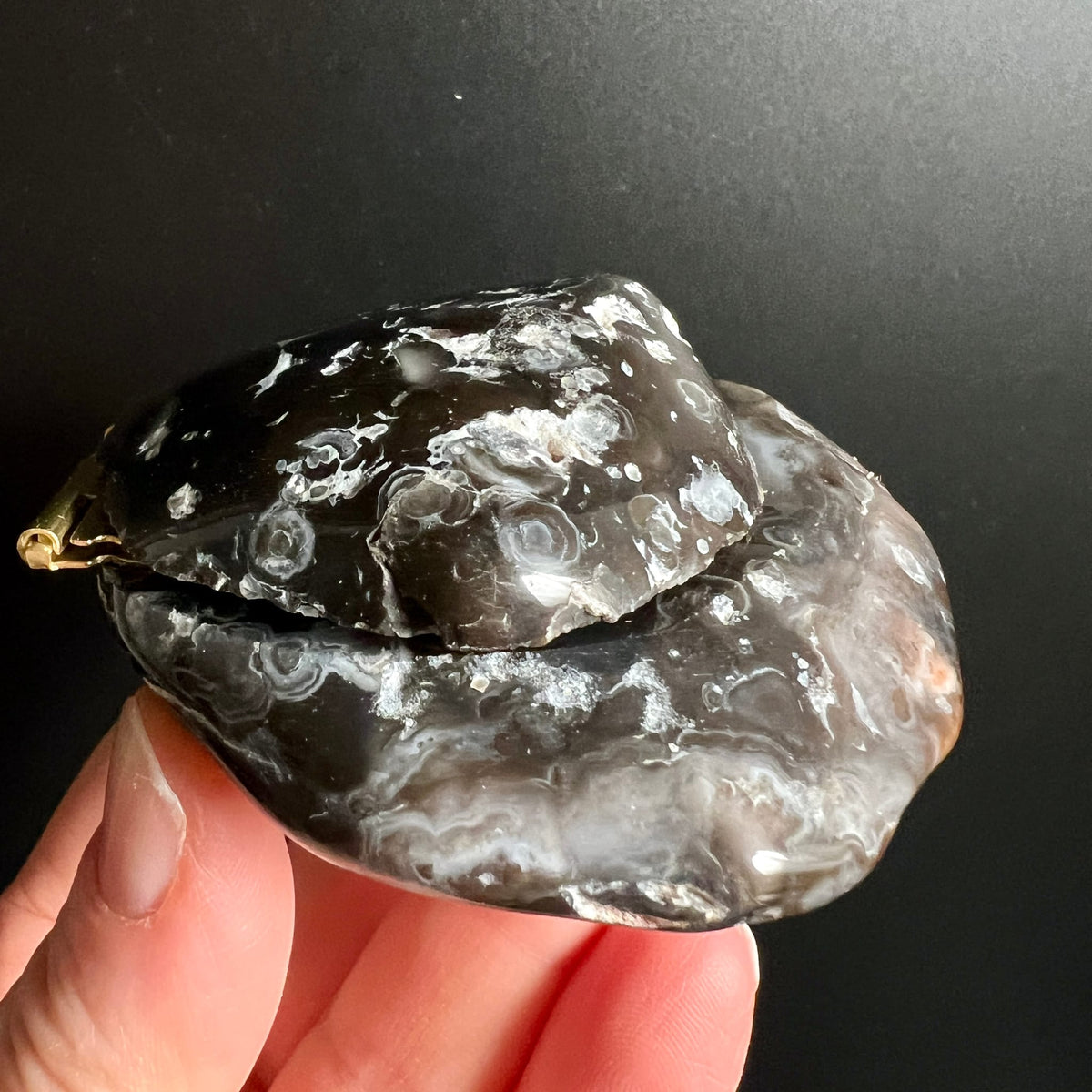 Achat Ringbox in dunklem Braun-Schwarz mit weissen Bänderungen, polierte Muschelform mit Golddeckel | Happy Minerals