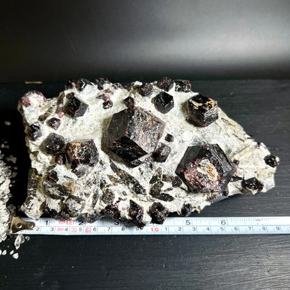 Almandin-Granat | Rohstein mit Maßband | Größenvergleich | weiße Gesteinsmatrix | Happy Minerals