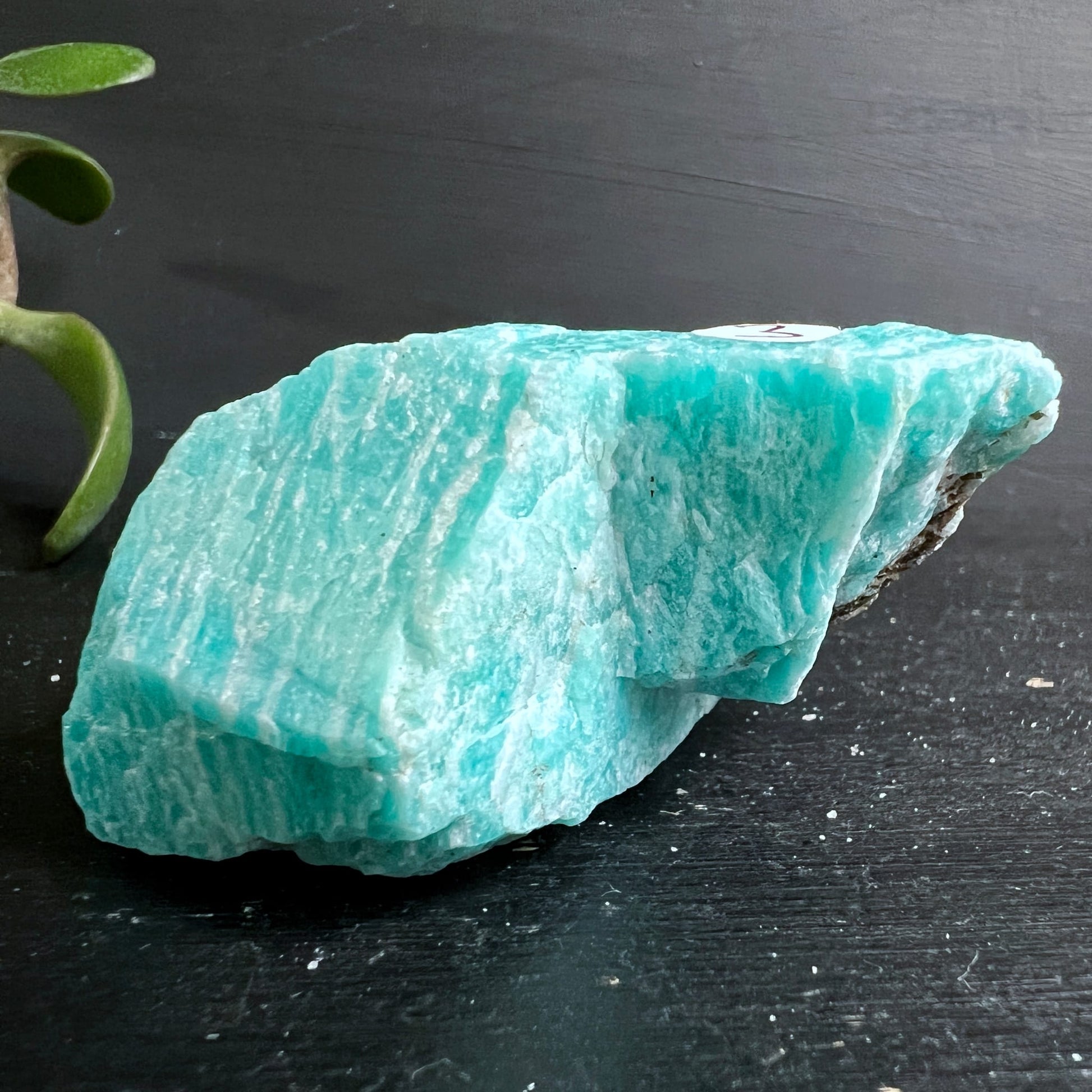 Amazonit mit Rauchquarz | Ansicht 13 | Happy Minerals