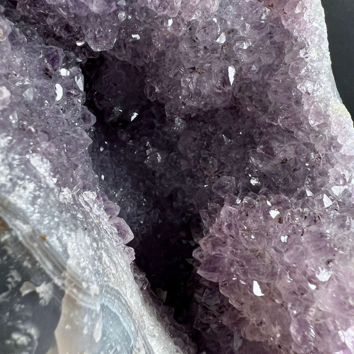 Amethyst Druse roh mit violetten Kristallspitzen, dunkler Hoehle und weisser Achatkante | Happy Minerals