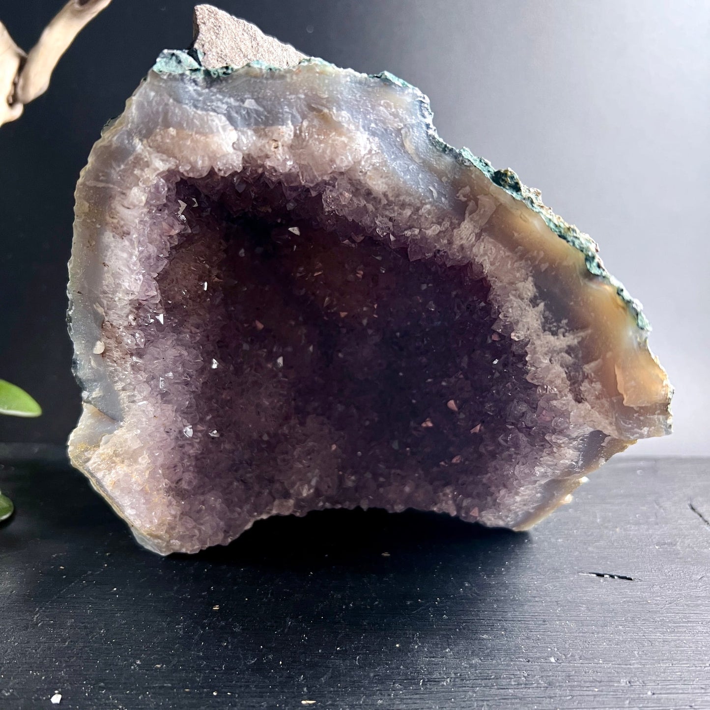Amethyst Druse mit tiefviolettem Kristallkessel, cremig-beigem Außenring und grünem Gesteinsmantel | Happy Minerals