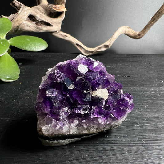 Amethyst Unikat Uruguay | tiefviolette Kristalle | rohe Druse | Standflaeche | Holz Dekoration | Happy Minerals