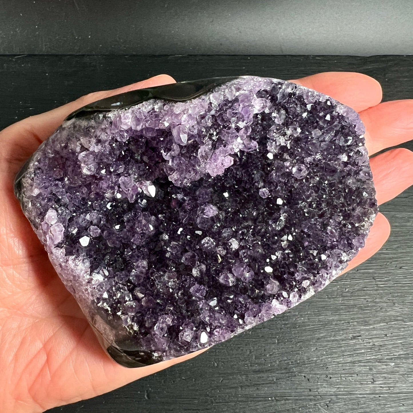 Amethyst Druse mit dicht besetzten violetten Kristallspitzen, schwarzer polierter Rand, in Handfläche | Happy Minerals