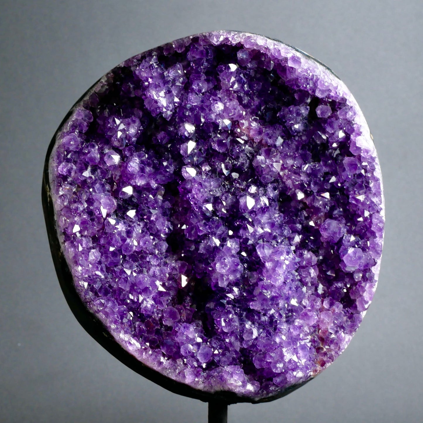 Runde Amethyst Druse mit dicht besetzten violetten Kristallspitzen, glitzernd, auf schwarzem Metallständer | Happy Minerals