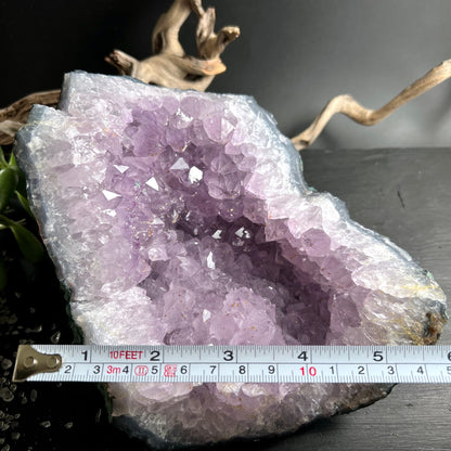 Amethyst Geode roh, hellviolette Kristallspitzen mit tiefviolettem Zentrum, weisse Chalcedon-Aussenrinde, 18cm | Happy Minerals