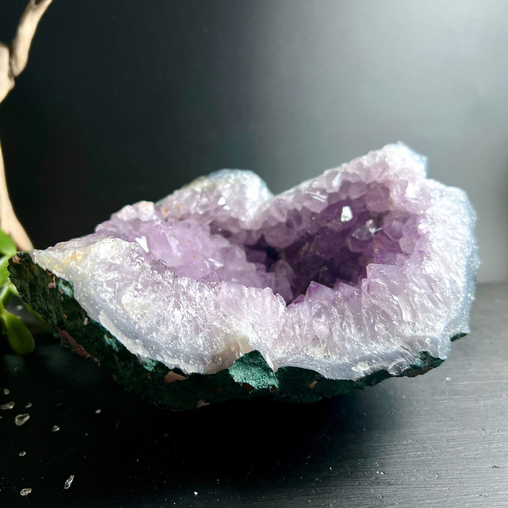 Amethyst Geode mit hellvioletten Kristallspitzen, weissem Chalzedon-Rand und dunkelgrüner Gesteinsbasis, roh | Happy Minerals