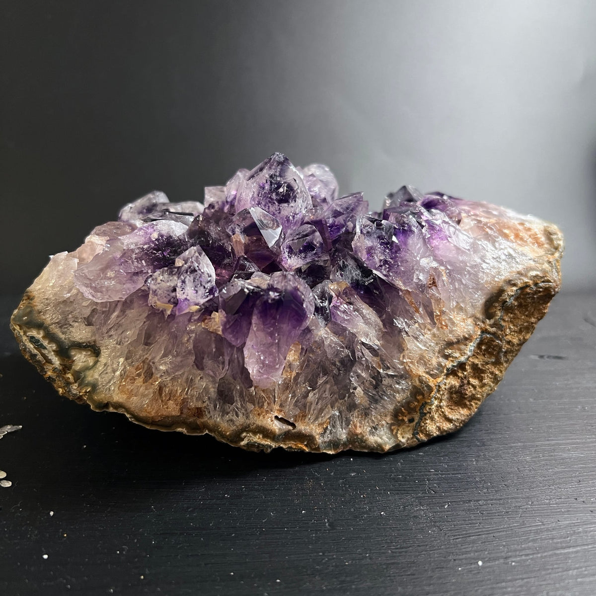 Amethyst Geode Seitenansicht | dichte violette Kristallcluster | Rohstein Unikat | Happy Minerals
