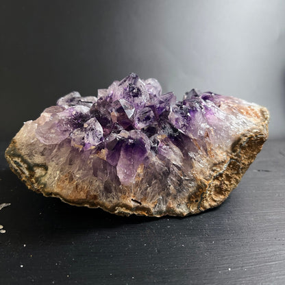 Amethyst Geode Seitenansicht | dichte violette Kristallcluster | Rohstein Unikat | Happy Minerals