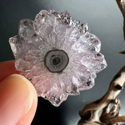Amethyst Sonne Stalaktit | Uruguay | Handhaltung | natürliche Lichtreflexe | Happy Minerals Detail