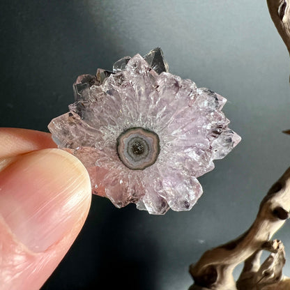 Amethyst Sonne Stalaktit | Uruguay | Handaufnahme | transparente Kristallstruktur | Happy Minerals