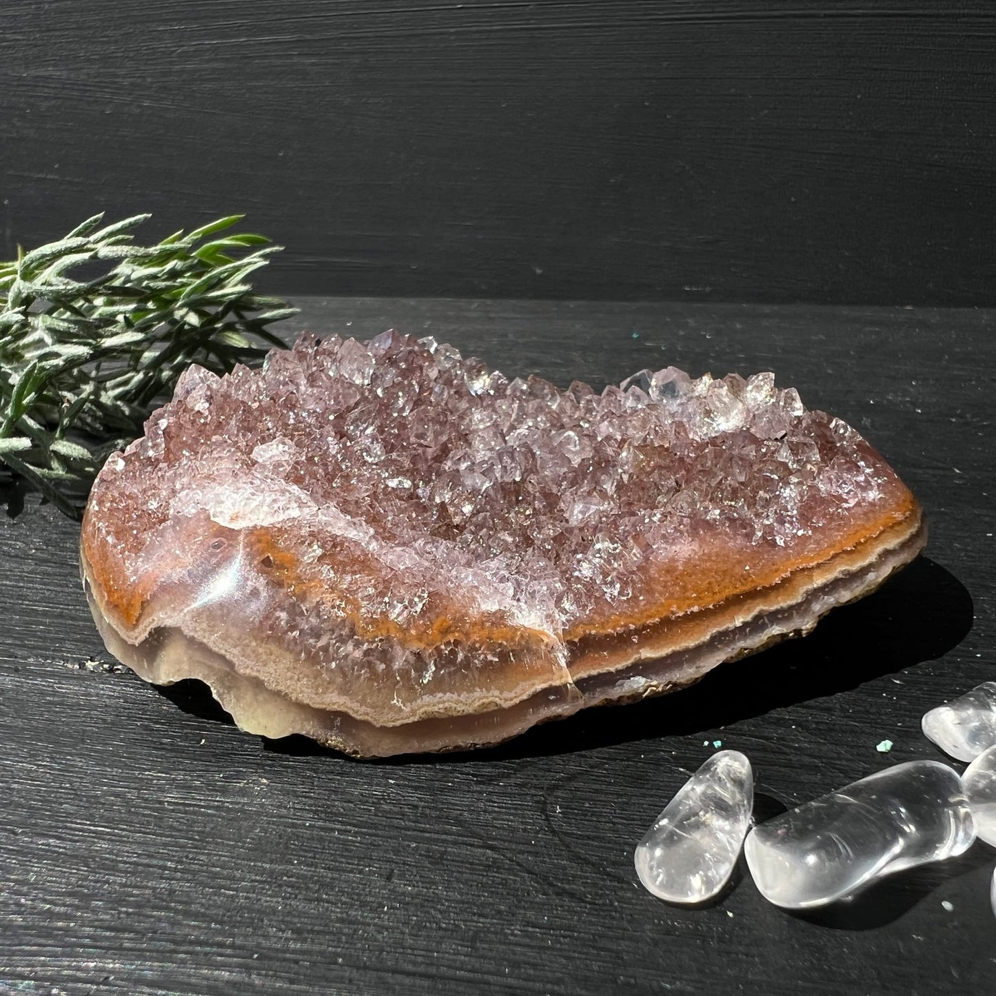 Amethyst Uruguay | zarte Lilaviolett-Töne | goldbraune Achat-Rinde | Druse | Seitenansicht | Unikat | Happy Minerals