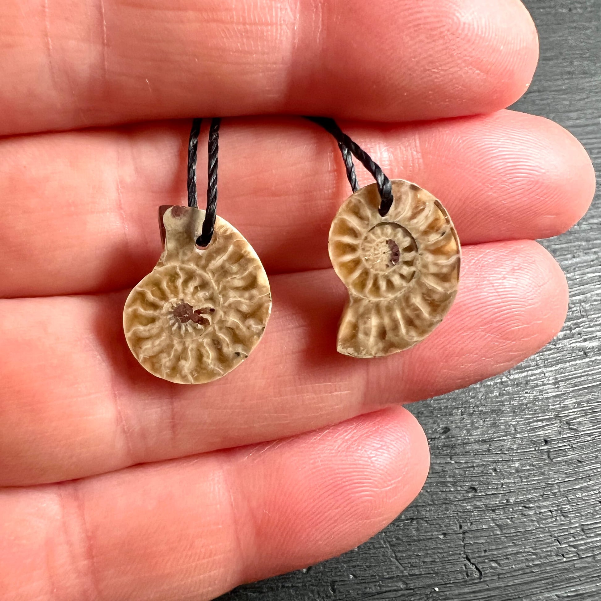 Zwei Ammonit Anhänger, beige-braun mit spiralförmigem Rippenmuster, runde Scheibenform, schwarze Kordel | Happy Minerals