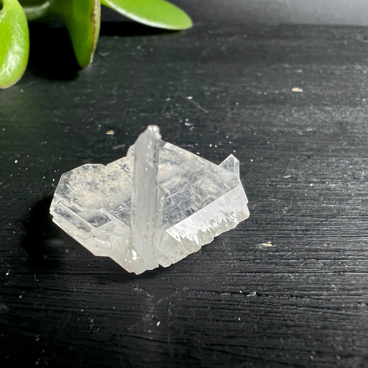Bergkristall Fadenquarz | Beluchistan | Rohstein | dunkle Oberfläche | Pflanze | Kristallformen | Happy Minerals