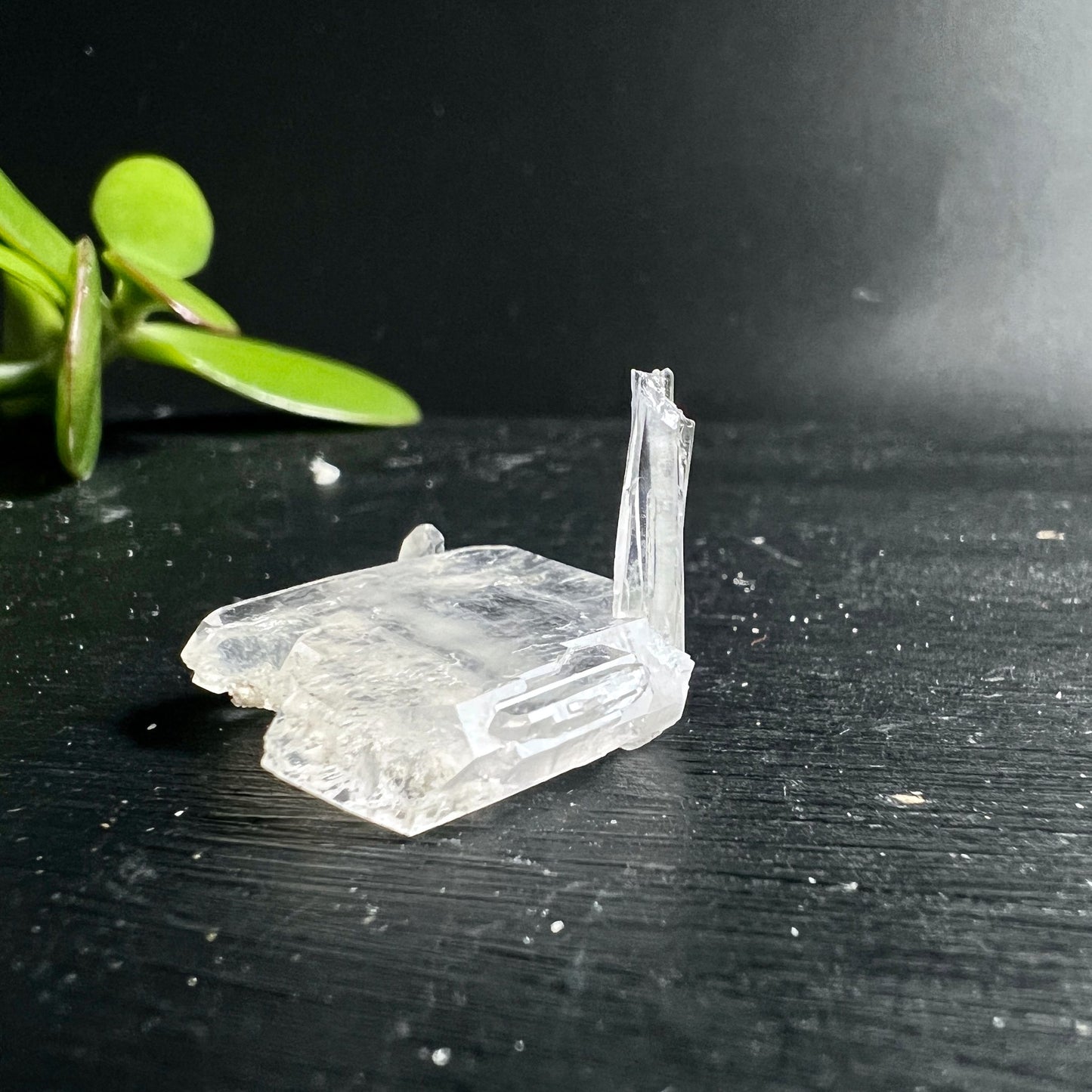 Bergkristall Fadenquarz | Beluchistan | Rohstein | grüne Pflanze | natürliches Licht | Happy Minerals