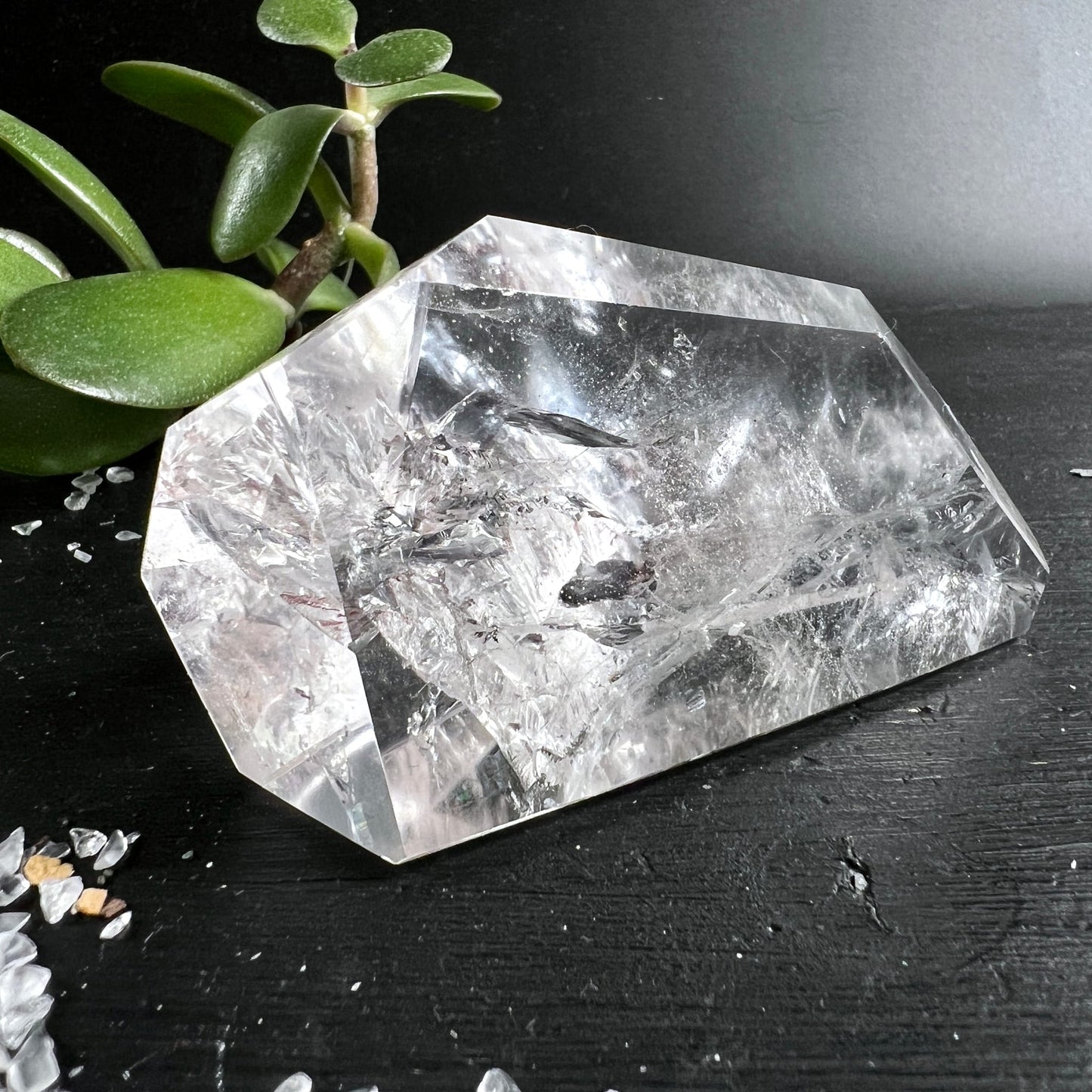 Bergkristall Freeform facettiert | glasklar | Einschlüsse | Jade-Pflanze | Happy Minerals