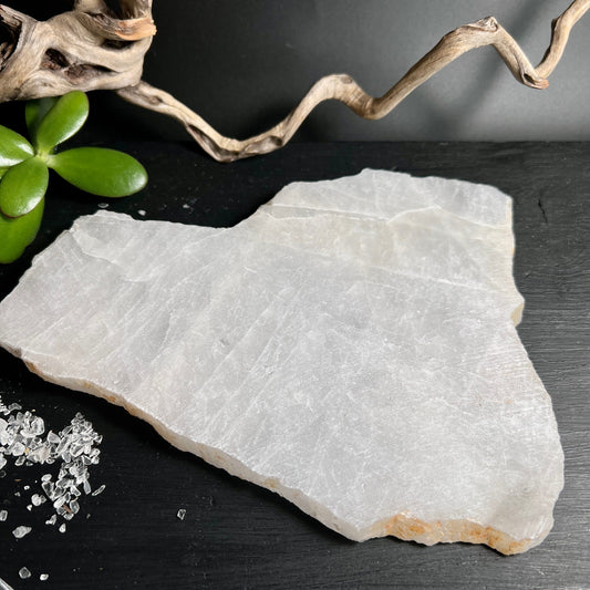 Kristallklare Bergkristall Platte | Brasilien | Natürliche Transparenz | Holzdeko | Grüne Pflanze | Happy Minerals