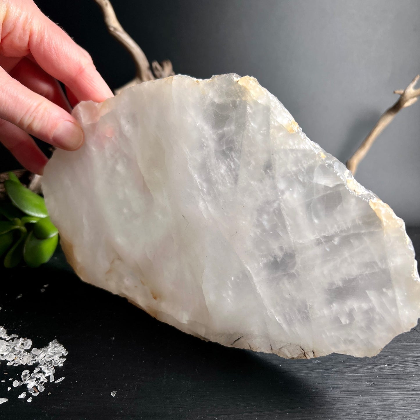 Bergkristall Scheibe Brasilien | Hand hält transparent schimmernde Kristallplatte | natürliche Einschlüsse | Happy Minerals