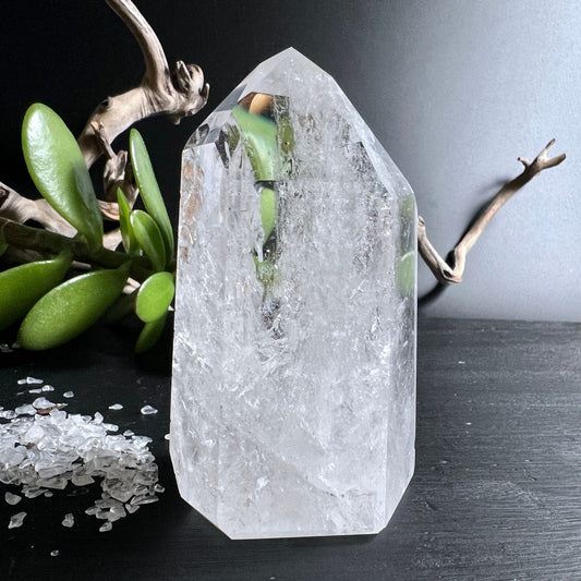 Bergkristall Spitze | poliert | Brasilien | natürliche Einschlüsse | grüne Pflanze | Dekoration | Happy Minerals