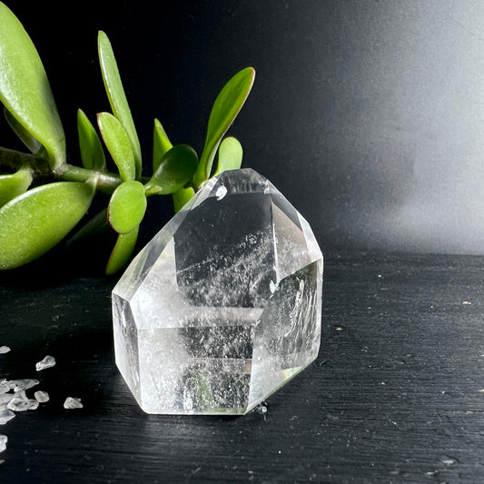 Klarer Bergkristall | polierte Spitze | Brasilien | Sukkulente | dunkler Hintergrund | Happy Minerals