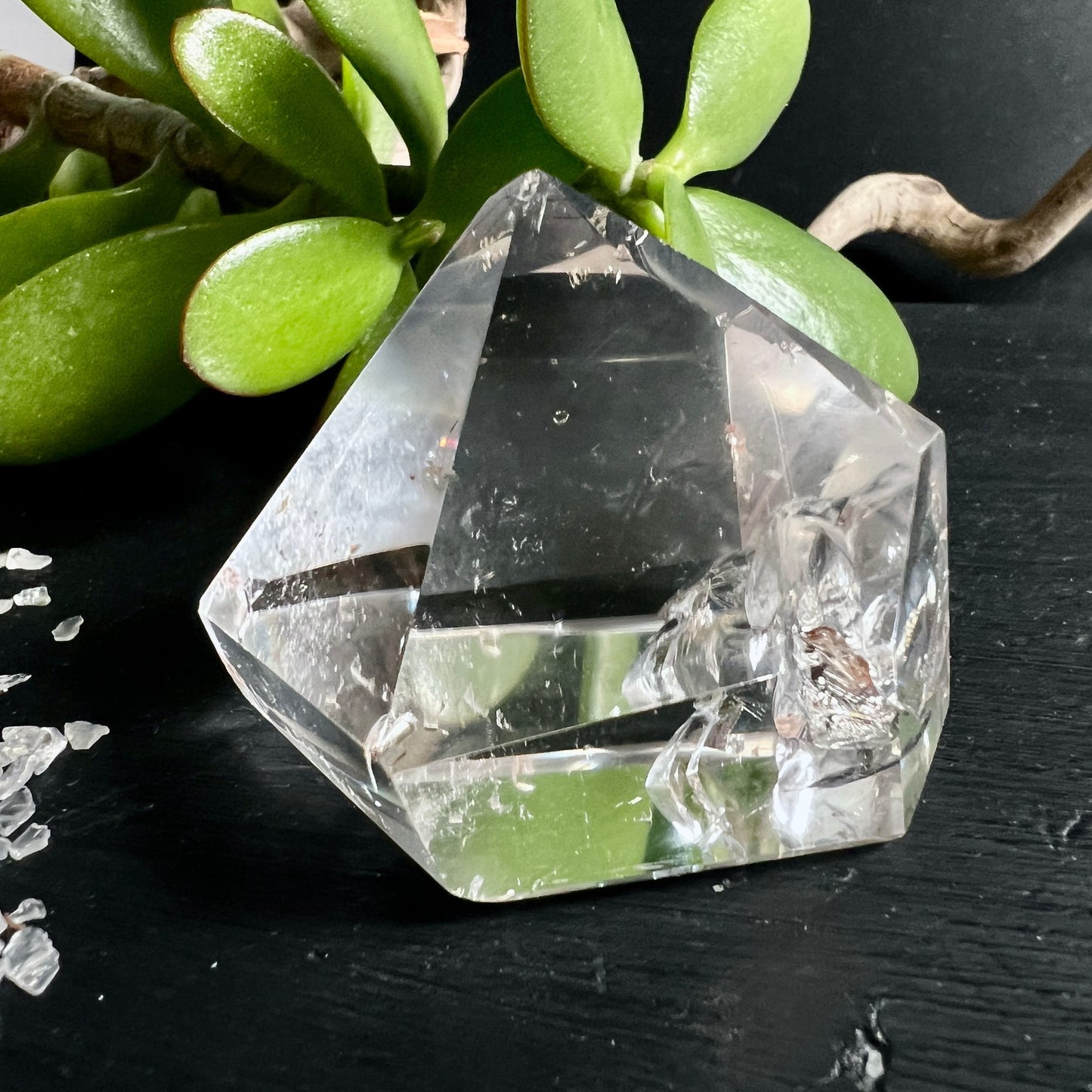 Bergkristall Spitze | Sukkulente | grüne Pflanzen | Lichtbrechung | natürlich | Brasilien | Happy Minerals