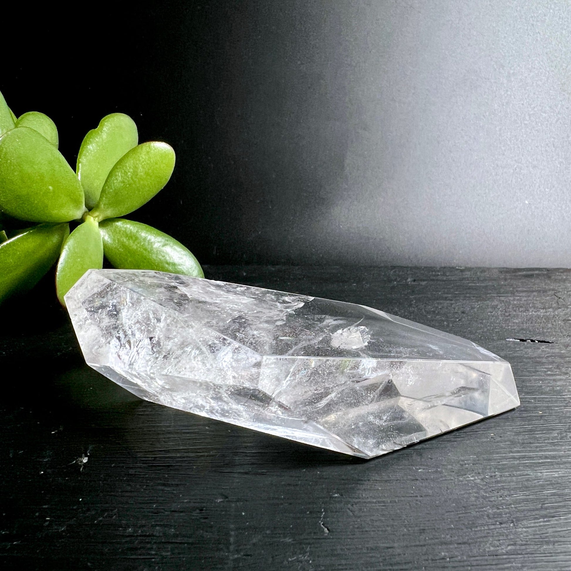 Bergkristall sukkulente deko | flache form polygon | brasilien edelstein | Happy Minerals kristalle