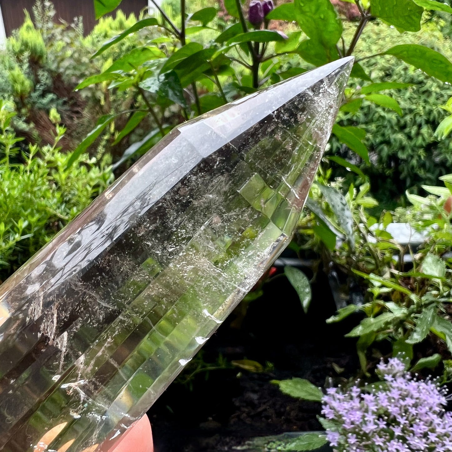 Bergkristall Vogelcut | Seitenansicht | Garten | Facettenstruktur | Brasilien | Happy Minerals