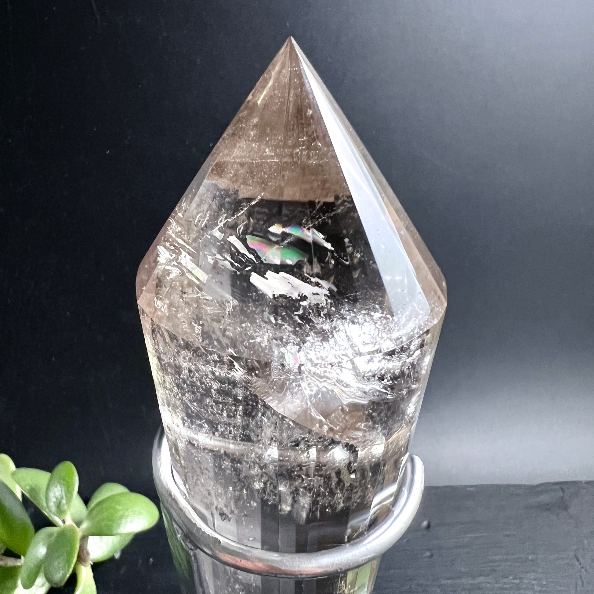 Bergkristall Vogelcut | Nahaufnahme Spitze | Regenbogenreflexion | Einschlüsse | Happy Minerals